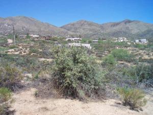 Tonto Hills 41