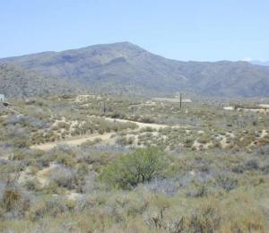 Tonto Hills 77
