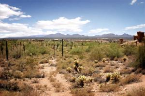 Upper Canyon at Silverleaf 1476