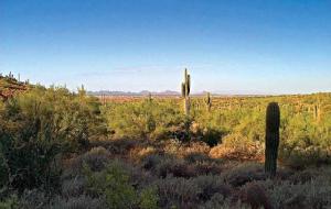 Horseshoe Canyon at Silverleaf 2414