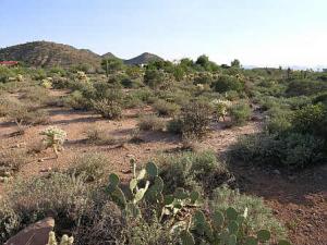 Sonoran Highlands 1 3