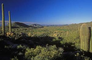 Cochise-Geronimo Village 3