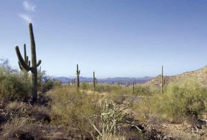 Upper Canyon at Silverleaf 1829