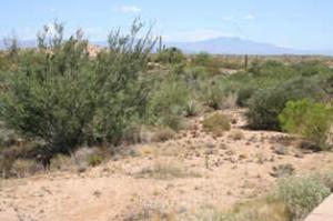 Non-HOA in Troon Area 3
