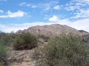 Tonto Hills 65