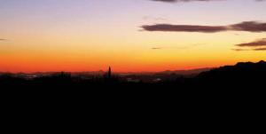 Painted Sky 54