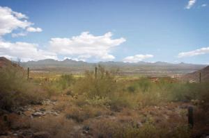 Upper Canyon at Silverleaf 1891