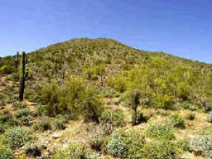 Lost Canyon 13