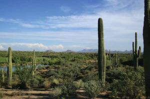 Cochise-Geronimo Village 27