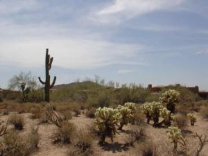 Whisper Rock 44