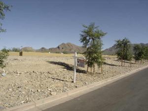 Arcadia at Silverleaf 3633