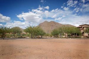 The Parks at Silverleaf 1218