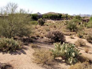 Estates at Legend Trails 28