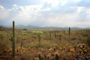 Horseshoe Canyon at Silverleaf 2410