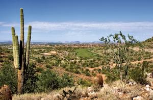 Horseshoe Canyon at Silverleaf 2418