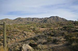 Cochise-Geronimo Village 22