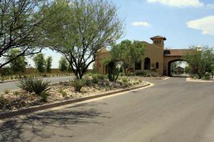 Arcadia at Silverleaf 3697