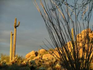 Winfield Villas home for sale