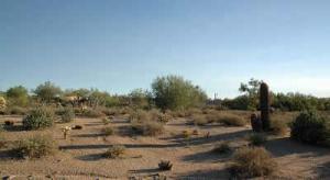 Whisper Rock 23