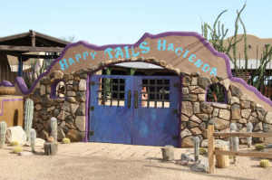 Pinnacle Peak Ranchos home for sale