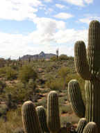 Other Troon Area Properties home for sale