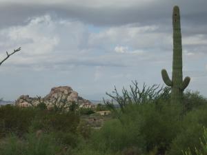 2256 SqFt - 2/3 bed/bath - $525,000
