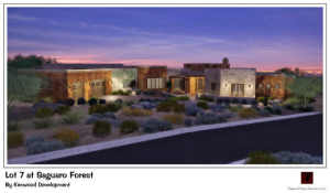 Saguaro Forest home for sale
