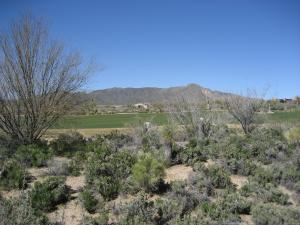 Desert Fairways home for sale