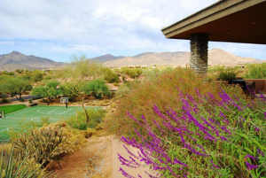Sonoran Ridge home for sale