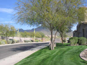1334.00 SqFt - 2/2 bed/bath - $315,000