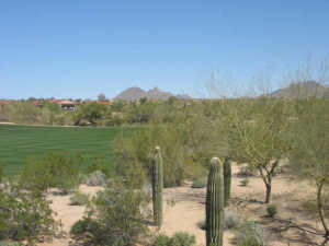 2185.00 SqFt - 3/3.5 bed/bath - $545,777