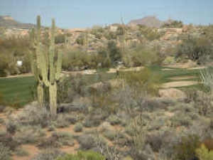 2422 SqFt - 2/2.5 bed/bath - $550,000