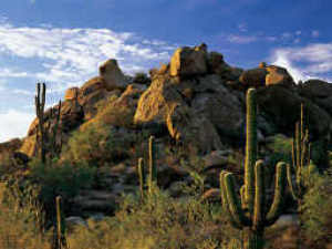 Tusayan Estates at Troon 62