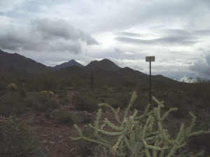 Horseshoe Canyon at Silverleaf 2919