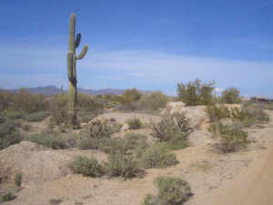 Pinnacle Peak Ranchos 21