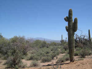 South of Rio Verde 1