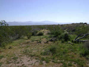 Non-HOA in Dynamite Foothills 1