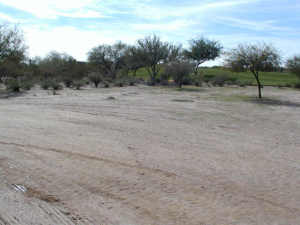 Tonto Verde 509