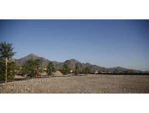 Arcadia at Silverleaf 3681