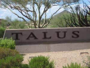 Talus 113