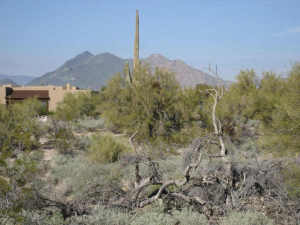 Other Boulder Area Property 1