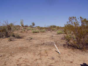 Boulder Mountain Estates 04