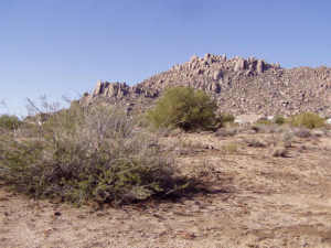 Boulder Mountain Estates 6