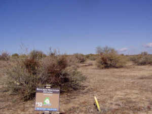 Boulder Mountain Estates 10