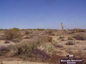 Boulder Mountain Estates 11