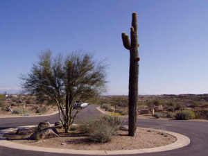 Boulder Mountain Estates 13