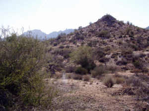 Boulder Mountain Estates 16