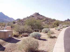 Boulder Mountain Estates 18