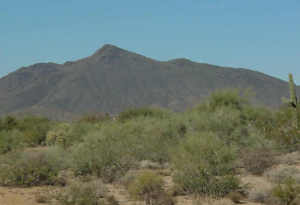 Sonoran Sanctuary 22
