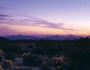 Non-HOA Pinnacle Peak Area 1
